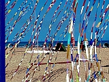 Cervia 2011-267